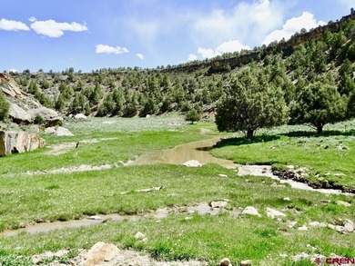 Greg Liddle, Hayden Outdoors LLC, C:,,: Totaling +/-2680 acres - photo 5