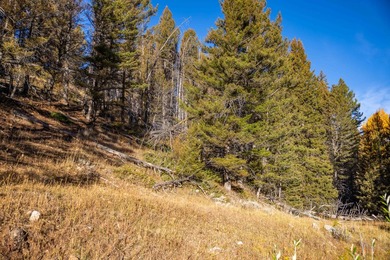 Bighorn Mountain Hideout is located deep in the Bighorn - photo 25
