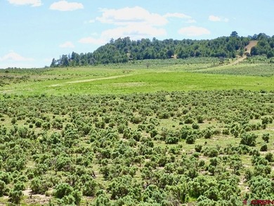 Greg Liddle, Hayden Outdoors LLC, C:,,: Totaling +/-2680 acres - photo 6