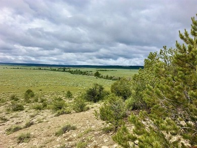 Greg Liddle, Hayden Outdoors LLC, C:,,: Totaling +/-2680 acres - photo 7
