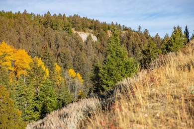 Bighorn Mountain Hideout is located deep in the Bighorn - photo 27