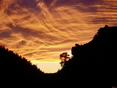 Greg Liddle, Hayden Outdoors LLC, C:,,: Totaling +/-2680 acres - photo 8