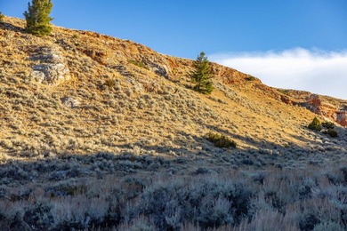 Bighorn Mountain Hideout is located deep in the Bighorn - photo 28
