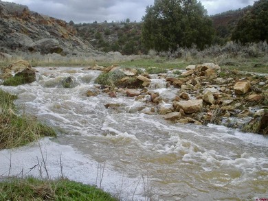 Greg Liddle, Hayden Outdoors LLC, C:,,: Totaling +/-2680 acres - photo 9