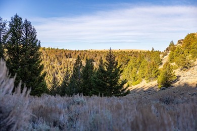Bighorn Mountain Hideout is located deep in the Bighorn - photo 29