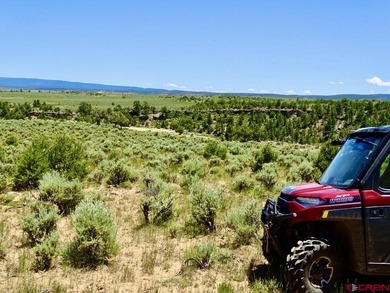 Greg Liddle, Hayden Outdoors LLC, C:,,: Totaling +/-2680 acres - photo 10