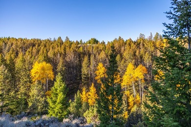 Bighorn Mountain Hideout is located deep in the Bighorn - photo 30
