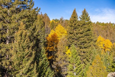 Bighorn Mountain Hideout is located deep in the Bighorn - photo 31