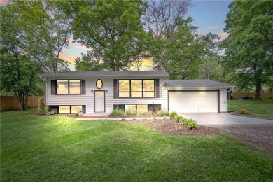 Lake Home For Sale in Chisago City, Minnesota