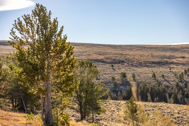 Bighorn Mountain Hideout is located deep in the Bighorn - photo 32
