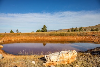 Bighorn Mountain Hideout is located deep in the Bighorn - photo 38