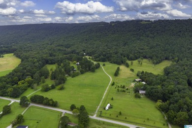 Lake Home For Sale in Springville, Alabama