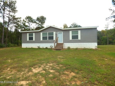 Lake Home For Sale in Mccomb, Mississippi
