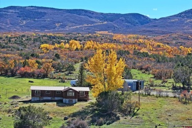 Lake Home For Sale in Mesa, Colorado