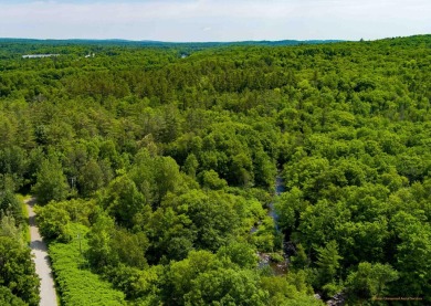 Lake Acreage For Sale in Sangerville, Maine