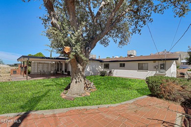 Exquisite Luxury Remodel! Expertly Designed From Top To Bottom