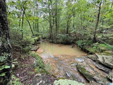 Lake Acreage Sale Pending in Steele, Alabama