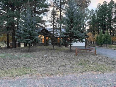 Lake Forest Home For Sale in Pagosa Springs Colorado