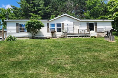 (private lake, pond, creek) Home For Sale in Montgomery Michigan