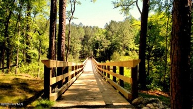 Elevated DOUBLE lot, close to Neuse River, those relaxing river - photo 16