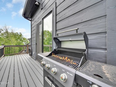 Beautiful Douglas Lake views! Enjoy relaxing on your two-story - photo 21