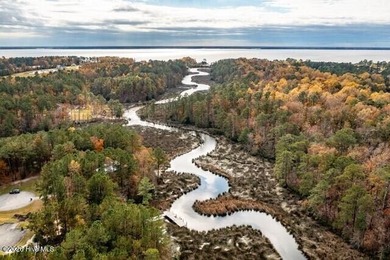 Elevated DOUBLE lot, close to Neuse River, those relaxing river - photo 30