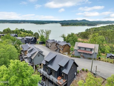 Beautiful Douglas Lake views! Enjoy relaxing on your two-story - photo 48