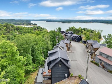 Beautiful Douglas Lake views! Enjoy relaxing on your two-story - photo 49