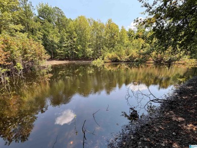 Lake Acreage For Sale in Oneonta, Alabama