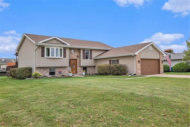 Cedar Lake - Lake County Home Sale Pending in Cedar Lake Indiana