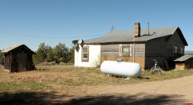 Lake Home For Sale in Norwood, Colorado