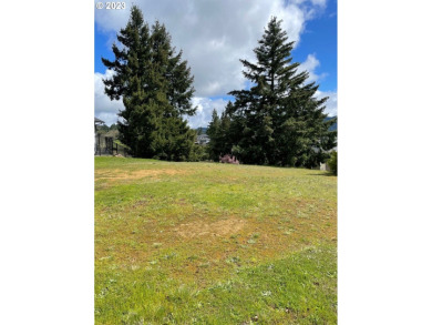 Lake Lot For Sale in Sutherlin, Oregon