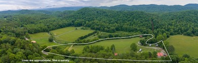 Own approximately 10 unrestricted acres with over 900 feet of - photo 25