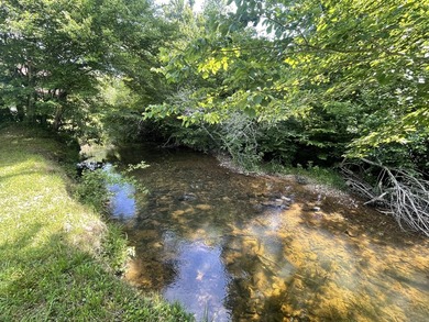 Own approximately 10 unrestricted acres with over 900 feet of - photo 36