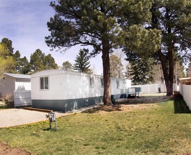 Lake Forest Home For Sale in Pagosa Springs Colorado