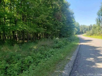 Sunset Lake - Iron County Lot For Sale in Iron River Michigan