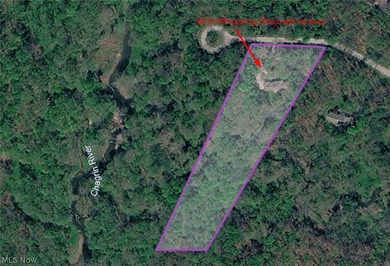 Tucked back on 5.09 wooded acres, this home offers the kind of - photo 42