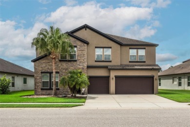 Lake Home For Sale in Wesley Chapel, Florida