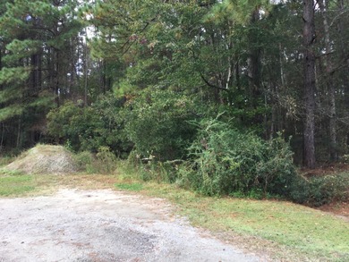 Lake Moultrie Lot Active Under Contract in Moncks Corner South Carolina