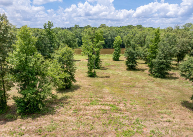 Stone Chimney Cove- A protected cove from big water damage.  - Lake Lot For Sale in Bullard, Texas