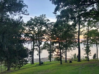 a Perfect Sanctuary to enjoy Sam Rayburn Lake Life! WATERFRONT - photo 11