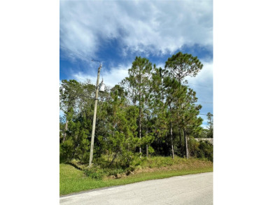Build Your Dream Home in the Heart of Palm Coast! Welcome to 85 - photo 12