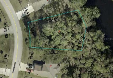Build Your Dream Home in the Heart of Palm Coast! Welcome to 85 - photo 13