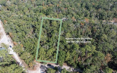 Suwannee River Lot For Sale in Obrien Florida