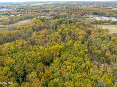 Discover 17.37 wooded acres of commercially zoned land in the - photo 5