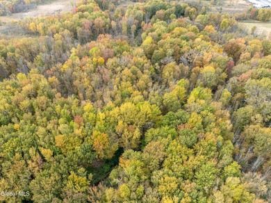 Discover 17.37 wooded acres of commercially zoned land in the - photo 6