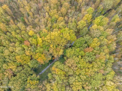 Discover 17.37 wooded acres of commercially zoned land in the - photo 7