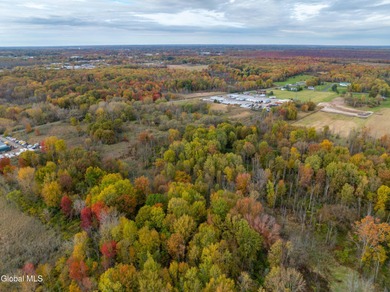 Discover 17.37 wooded acres of commercially zoned land in the - photo 8