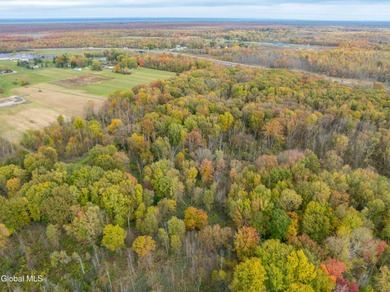 Discover 17.37 wooded acres of commercially zoned land in the - photo 9
