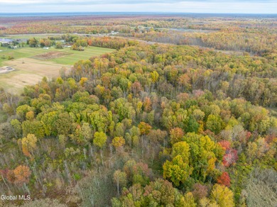 Discover 17.37 wooded acres of commercially zoned land in the - photo 10